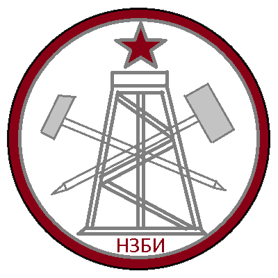 Логотип-НЗБИ.jpg